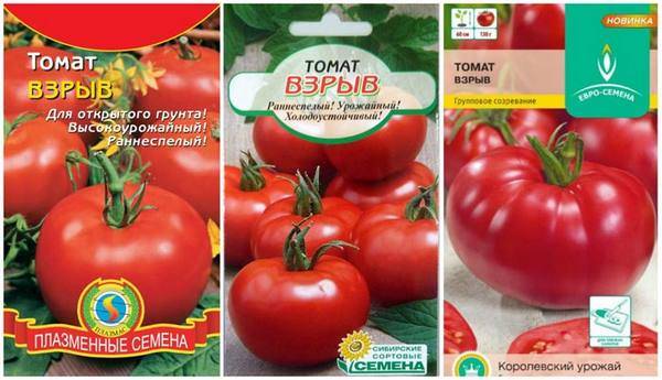 Сорт помидора «никола»: фото, отзывы, описание, характеристика, урожайность