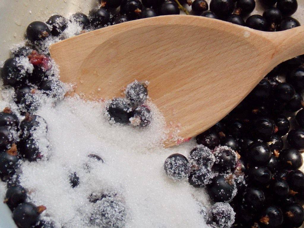 Черная смородина с сахаром на зиму без варки: лучшие рецепты