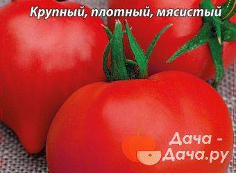 Описание томата красные щечки f1: преимущества и характеристика гибридного сорта