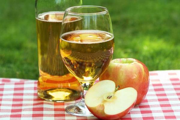 13 простых пошаговых рецептов яблочного вина в домашних условиях