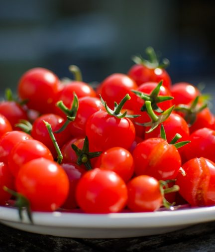 Как вырастить «ленивые» помидоры — оригинальный способ