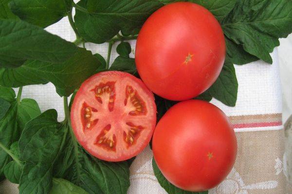 Характеристика необычных томатов сорта данко и описание плодов