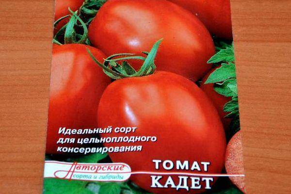 Томат финиш: характерные особенности сорта и рекомендации по выращиванию
