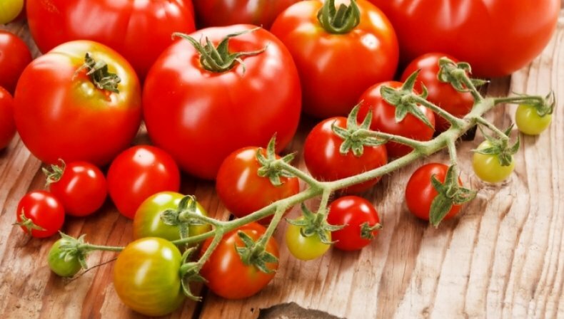 Борная кислота для томатов: применение подкормки и особенности опрыскивания томатов (125 фото)