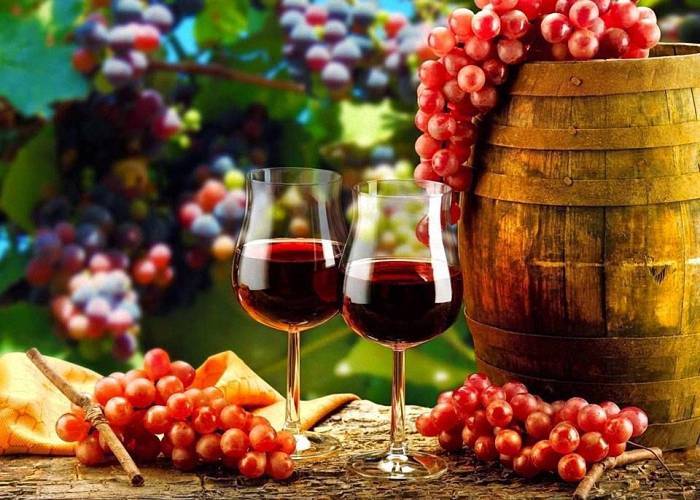 Готовим домашнее вино из винограда по простому рецепту