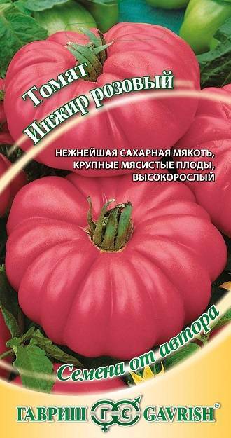 Тонкости выращивания, характеристика и описание томата сорта инжир красный