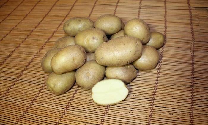 Главные характеристики картофеля голубизна