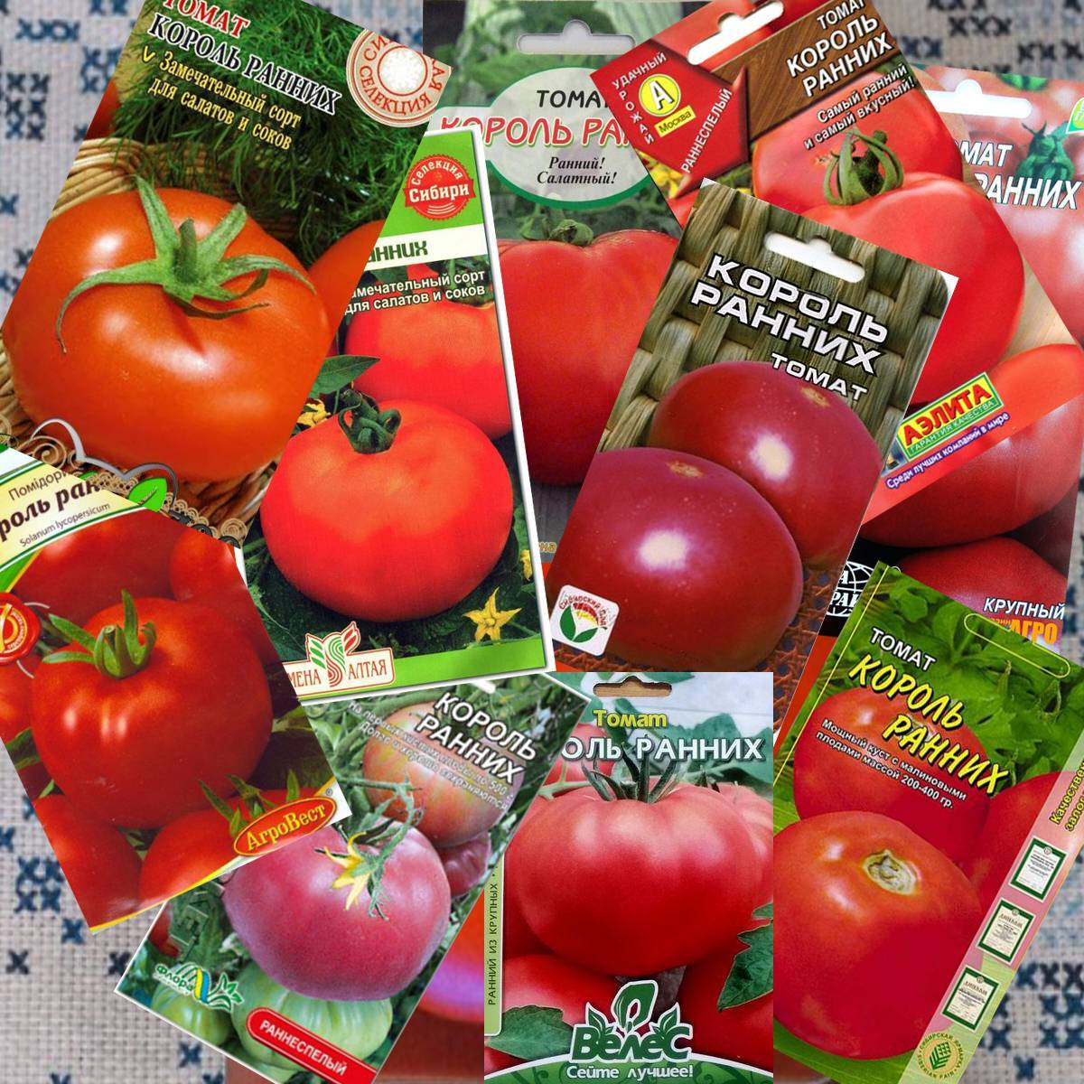 Первый томат в сезоне — король ранних. подробное описание сорта, агротехника, отзывы