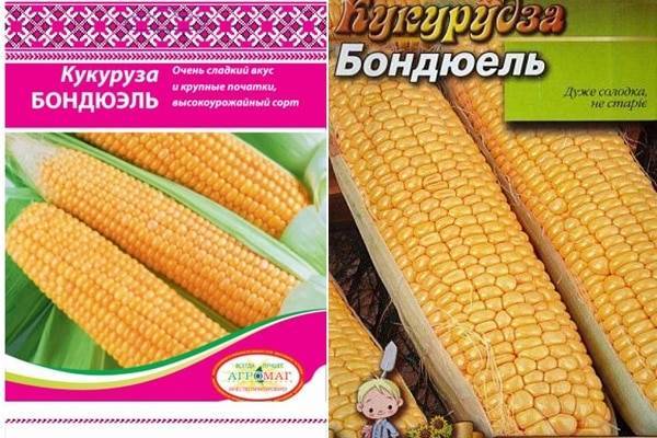 Кукуруза