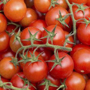 Популярные среди дачников помидоры «красная шапочка»: описание сорта и инструкция по его самостоятельному выращиванию