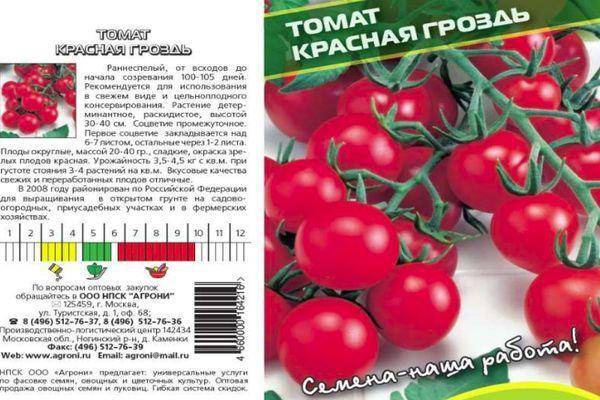 Россыпь ярких плодов в теплице и на открытой грядке – томат «груша красная»: описание сорта, особенности выращивания