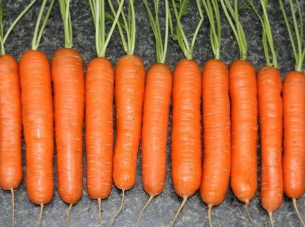 Морковь нантская