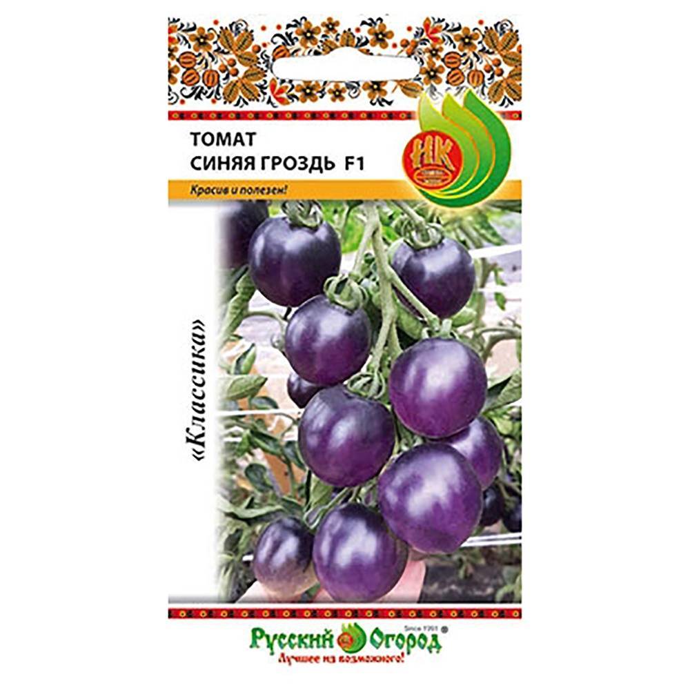 Характеристика и описание сорта томата Синяя гроздь, его урожайность