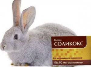 Комбикорм для кроликов: состав и нормы потребления