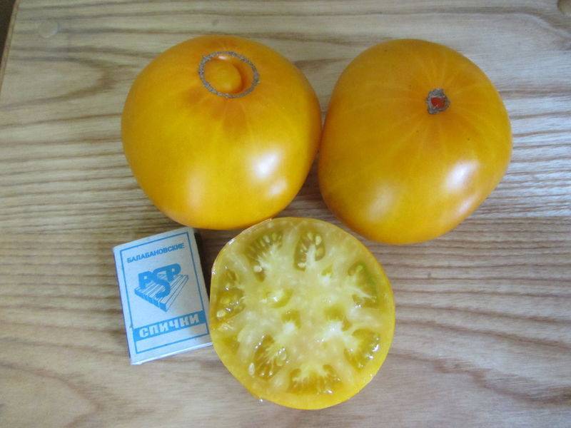 Характеристика и описание сорта томата бабушкин секрет, урожайность и выращивание