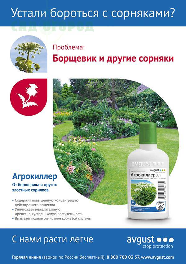 Агритокс – инструкция по применению, действие препарата от сорняков