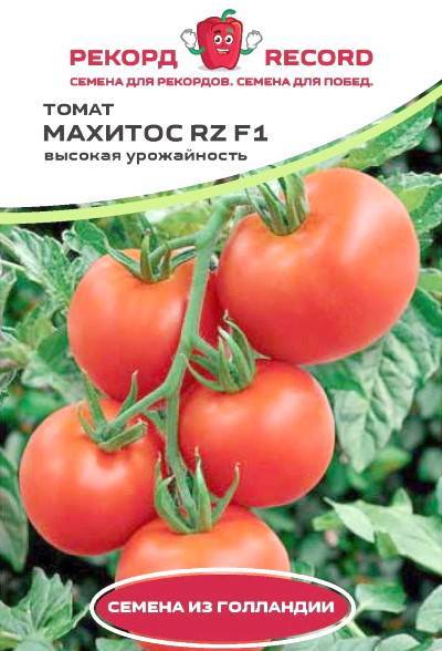 Ососбенности помидоров «махитос f1» — описание и характеристики