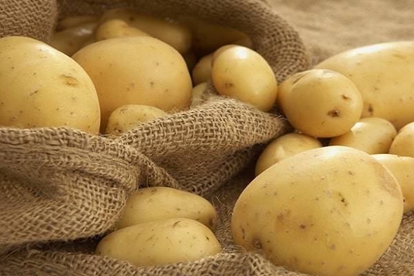 Описание сорта картофеля Зорачка, особенности выращивания и ухода