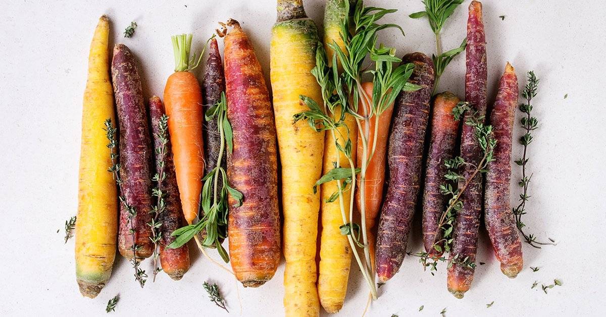 Полезные свойства фиолетовой моркови