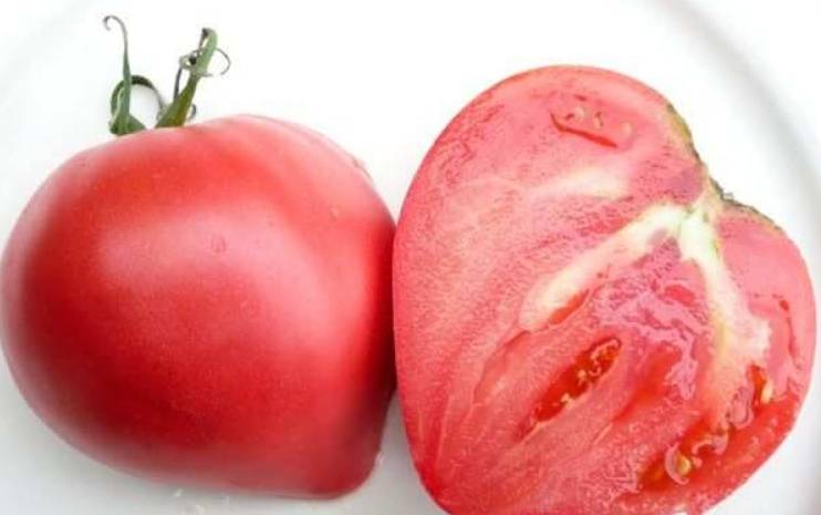 Характеристика и описание сорта томата большая мамочка, его урожайность