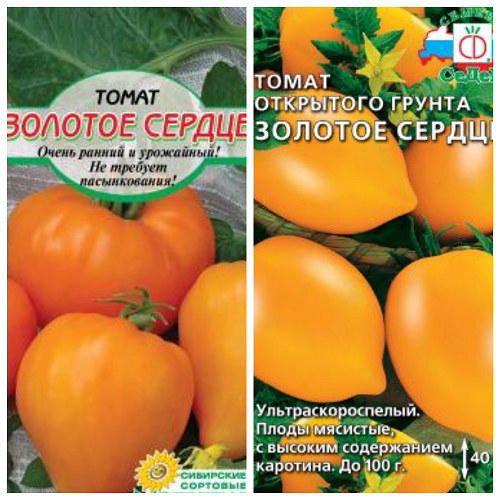 Золотое сердце — оригинальный томат с прекрасным вкусом. описание сорта и отзывы дачников