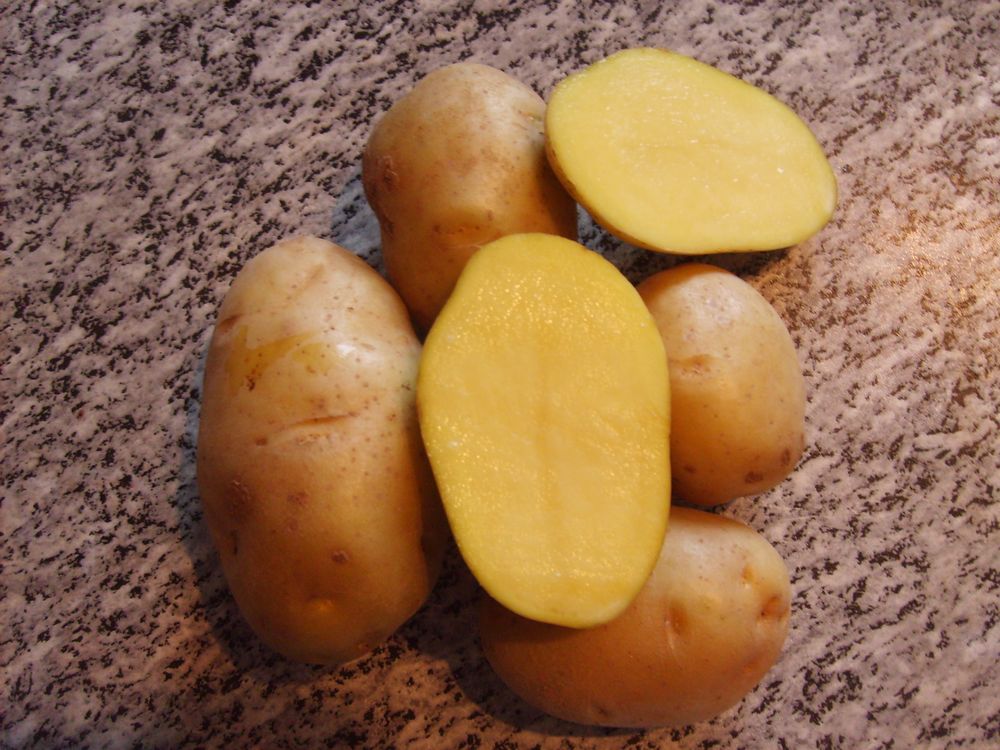 Картофель наташа