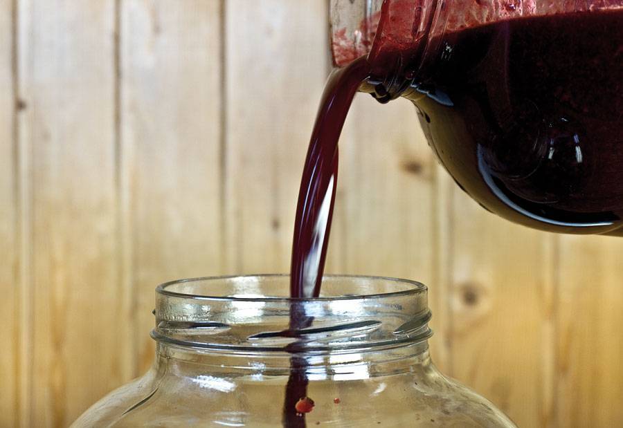 Как приготовить черничное вино в домашних условиях