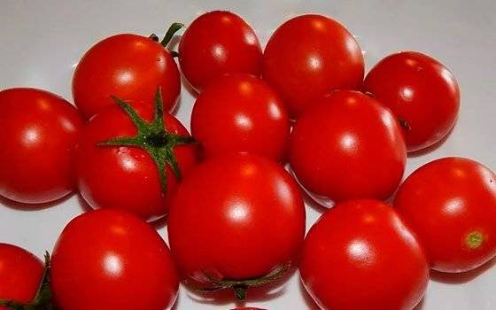 Томат «щелковский ранний»: описание сорта, характеристики помидоров