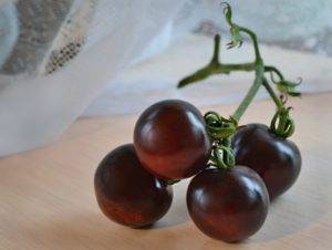 Сорт черника – десертный томат с целебными свойствами. описание и советы по выращиванию