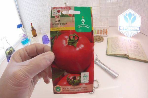 Розовоплодные томаты: сорта-фавориты вкуса