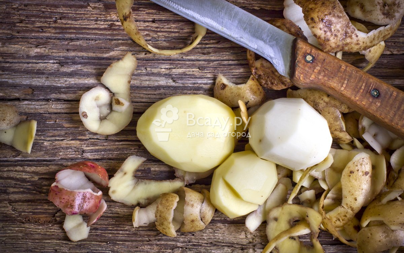 Картофельные очистки как удобрение – для каких растений применяются. рецепты подкормок