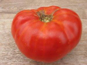 Даст поздний урожай, но оправдает ожидания — томат «андреевский сюрприз»