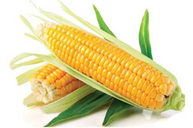 Чем полезна кукурузная каша для организма человека, как ее правильно приготовить
