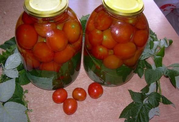 Лучшие рецепты маринованных помидоров с малиновыми листьями на зиму в домашних условиях