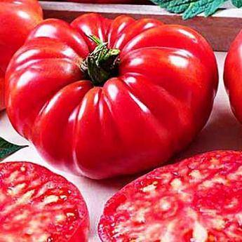 Великолепные томаты сорта «американский ребристый»: полное описание, особенности выращивания, характеристики