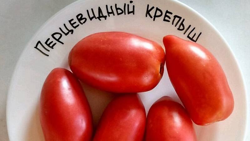 Особенности выращивания помидор «красная гвардия»