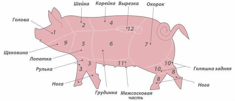 Как определить вес свиньи без весов по обмерам