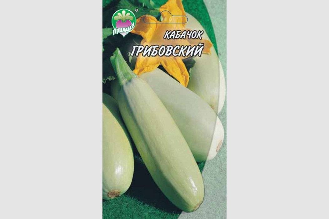 Сорт кабачков грибовский 37