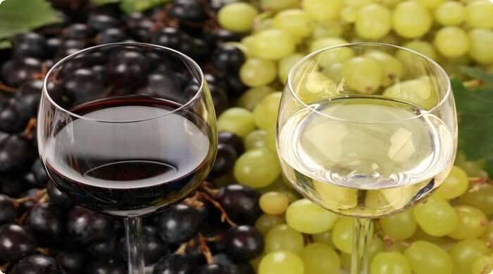 Популярное вино из винограда лидия