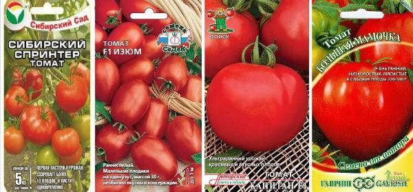 Ультраранний томат салатного назначения — капитан f1. знакомимся с описанием