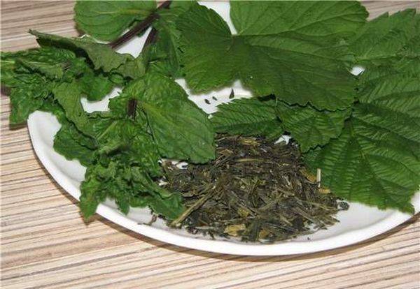 Когда собирать и как сушить листья смородины, чтобы получить качественный чай