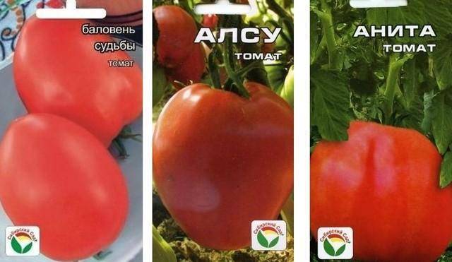 Описание сорта томата баловень судьбы и правила выращивания