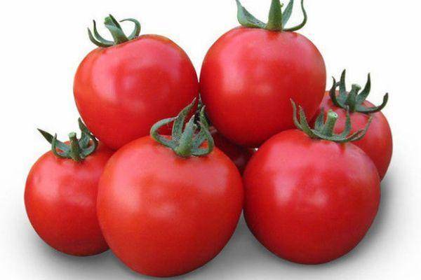 Чёрный мавр: помидор оригинальной раскраски и прекрасного вкуса