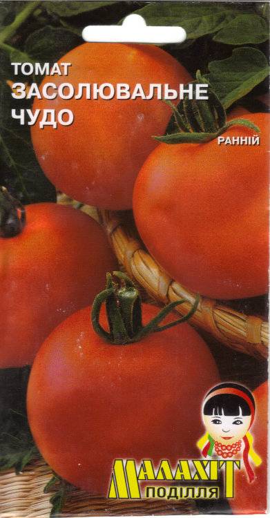 Разновидности сортов и гибридов помидоров и их характеристики
