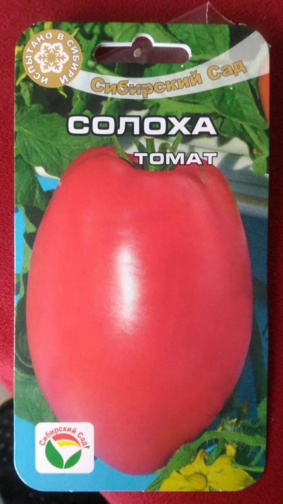 Универсальный сорт томата «засолочное чудо» — характеристики, описание, рекомендации по уходу