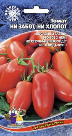 Описание уральского томата ни забот, ни хлопот, достоинства холодостойкого сорта