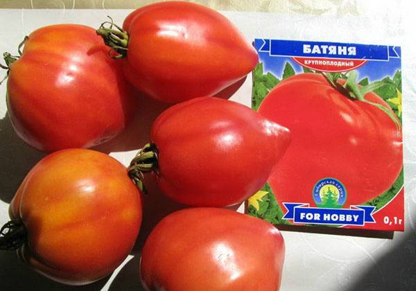 Сорт томата – батяня: описание, отзывы и особенности ухода