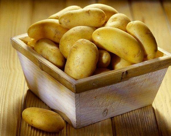 Востребованный и любимый: сорт картофеля зорачка