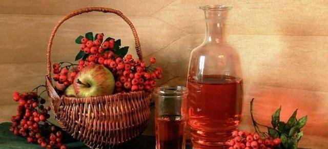 5 лучших пошаговых рецептов приготовления вина из красной рябины в домашних условиях и 12 полезных свойств ягоды