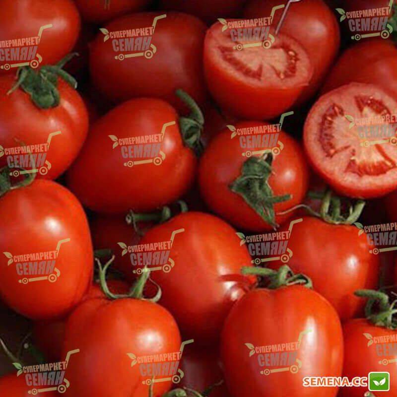Насладитесь превосходным вкусом с томатом блиц f1 — описание сорта и его характеристики